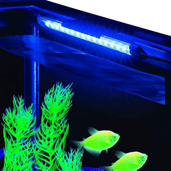8-Inch GloFish Blue LED Aquarium Light for Stunning Fish Display