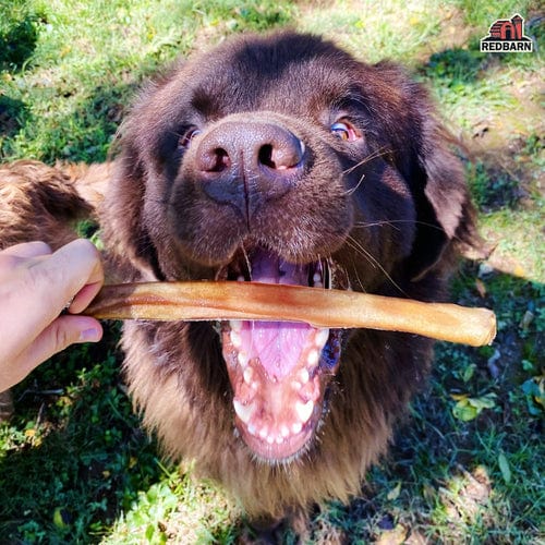 RedBarn High - Protein Collagen Stick Chew Treat for Dogs