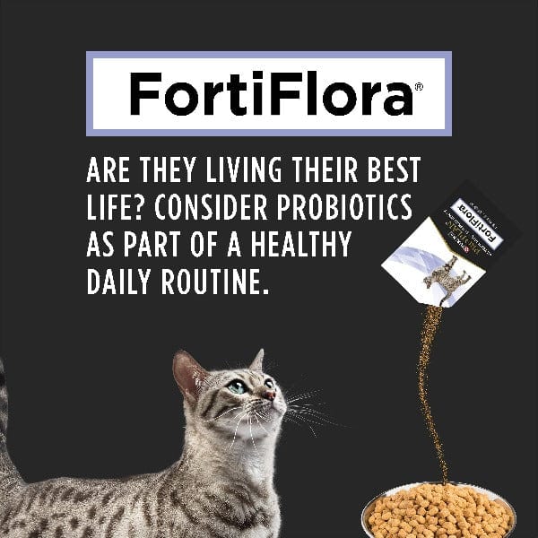 Purina Pro Plan FortiFlora: Premium Powdered Probiotic Supplement for All Cats