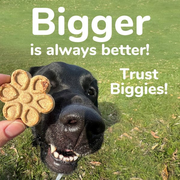 Fruitables Biggies: Crunchy Peanut Butter & Banana Dog Treats