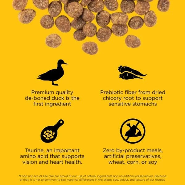 Go! Solutions Grain-Free Limited Ingredient Dry Cat Food with Duck Recipe