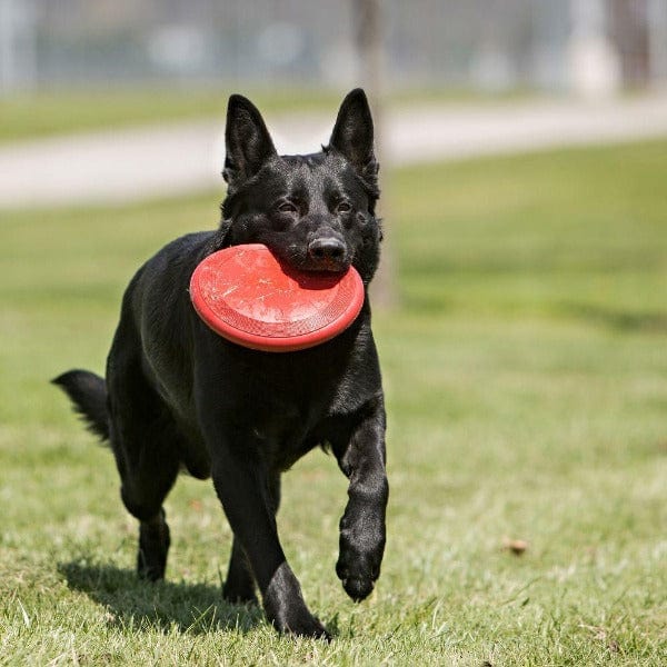 Durable KONG Classic Flyer - Ideal Dog Toy for Safe Fetching