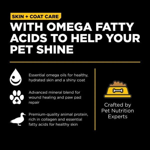 Go! Solutions Grain-Included Dry Dog Food with Duck for Skin & Coat Care