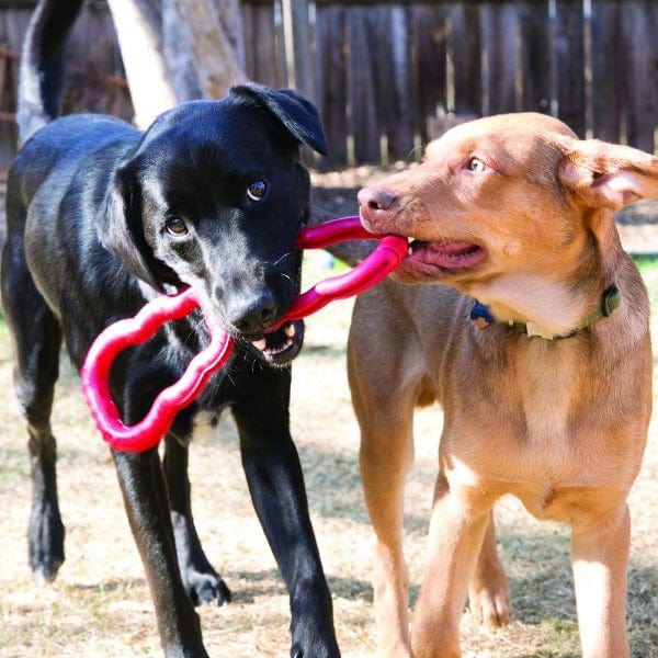 KONG Interactive Tug-of-War Dog Toy for Endless Play
