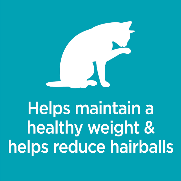 IAMS Proactive Health Premium Dry Cat Food for Indoor Cats - Weight Management and Hairball Care