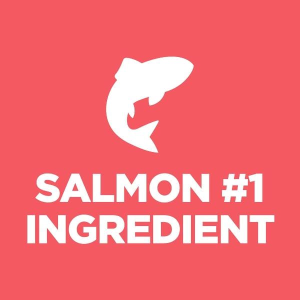Hill's Science Diet 3.5lb Dry Kitten Food: Salmon & Brown Rice for Sensitive Stomachs & Skin