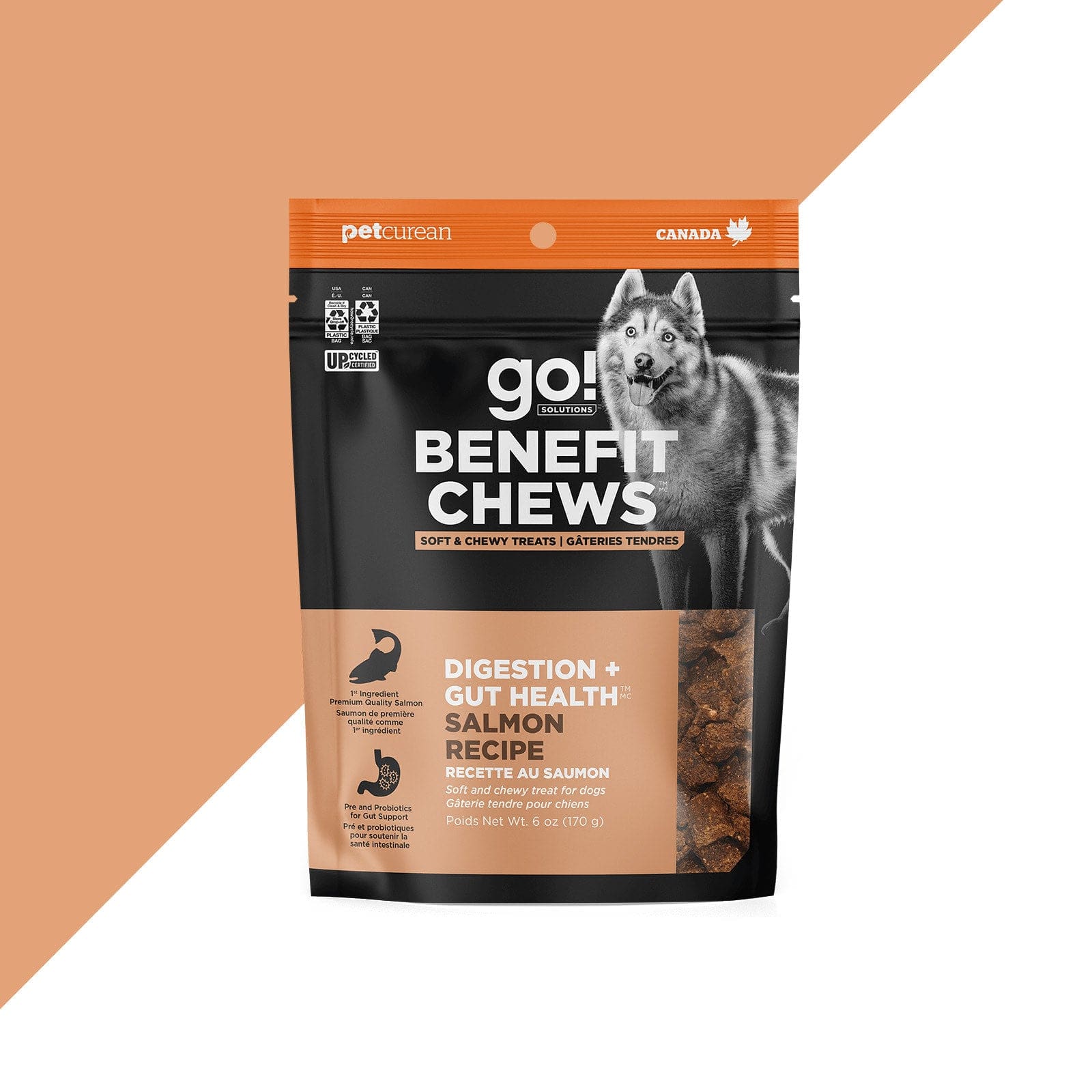Go! Solutions Salmon Dog Treats for Digestion and Gut Health