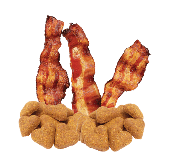 Darford Oven-Baked Grain-Free Dog Treats with Real Bacon Recipe