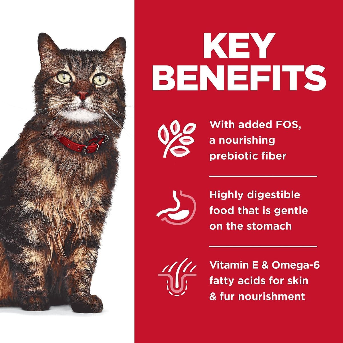 Science Diet Prime Life Salmon & Tuna Cat Food Pouches for Sensitive Stomach & Skin