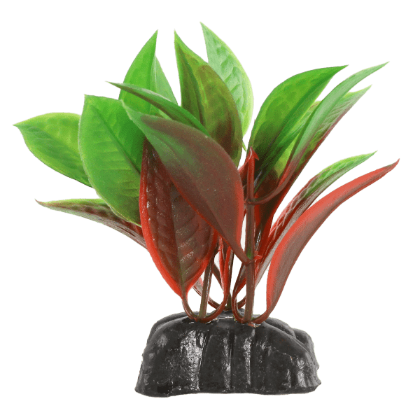 Aquarium Decorative Red and Green Crypt Plastic Betta Plants Set of Three