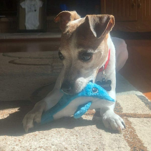 Tender-Tuffs Adorable Tiny Dolphin Plush Interactive Dog Toy for Small Dogs