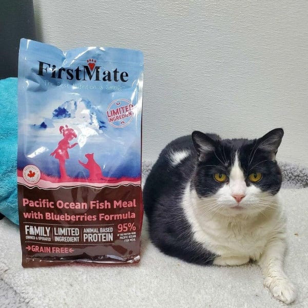FirstMate Limited Ingredient Dry Cat Food: Ocean Fish Meal & Blueberries, 1.8kg