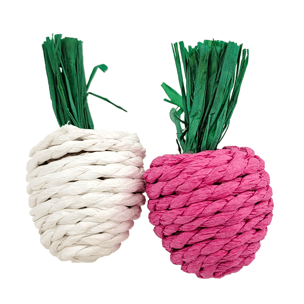 Two - Pack of Moss Hollow Radish - Flavored Vegetable Chews for Small Pets