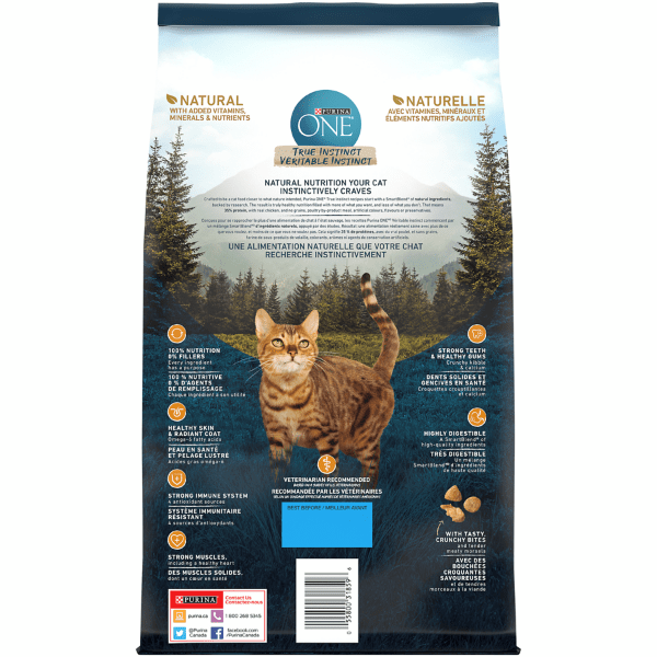 Purina ONE True Instinct Grain-Free Dry Cat Food with Real Chicken, 1.45kg - Premium Feline Nutrition
