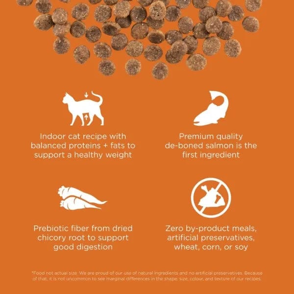 Go! Solutions Grain-Free Salmon Dry Cat Food for Skin & Coat Care