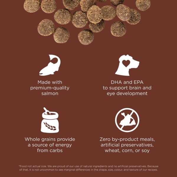 Go! Solutions Premium Dry Puppy Food for Large Breeds - Skin & Coat Care with Salmon and Grains Recipe