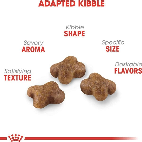 Royal Canin Dry Cat Food for Kittens Aged 4 - 12 Months