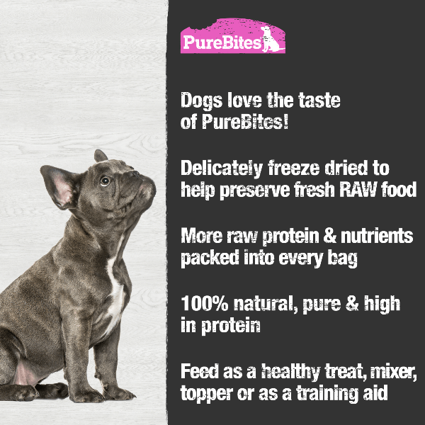 PureBites Premium Freeze - Dried Salmon Dog Treats: Ideal High - Value Snack for Canines