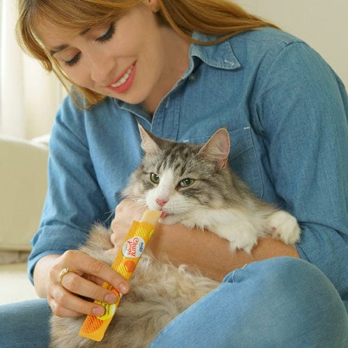 Inaba Churu Pops Cat Treats with Tuna Recipe - Premium Feline Snack