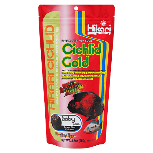 Hikari Gold Floating Pellets for Cichlids and Larger Tropical Fish