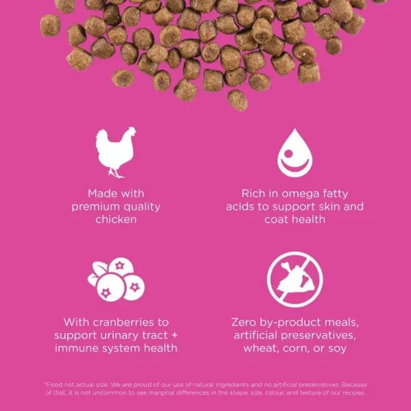 GO! Solutions Grain-Included Chicken Recipe Dry Cat Food for Skin & Coat Care