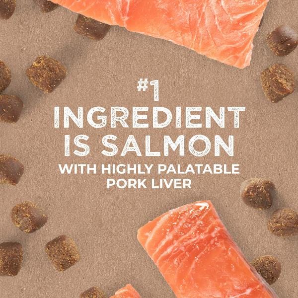 Cloud Star Salmon-Flavored Soft and Chewy Dog Training Treats - Tricky Trainers