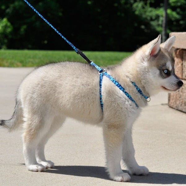 Li'l Pals Adjustable Comfort Wrap Dog Harness for Small Dogs and Puppies
