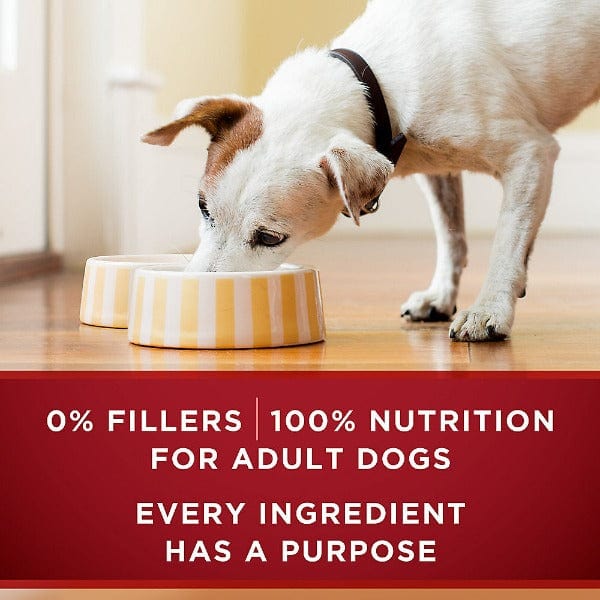 Purina ONE True Instinct Grain-Free Canned Dog Food with Real Turkey & Venison