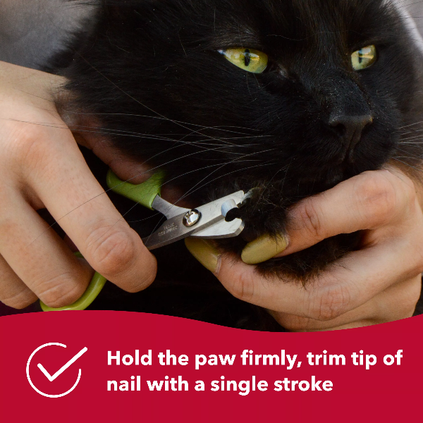 Coastal's Safari Brand High - Quality Cat Nail Trimming Tool