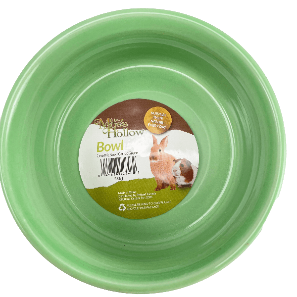 Pet-Safe Moss Hollow Ceramic Carrot-Shaped Bowl for Daily Use