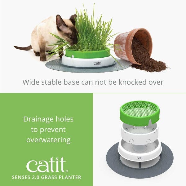 Catit Senses 2.0 Indoor Cat Grass Planter with Design Upgrades