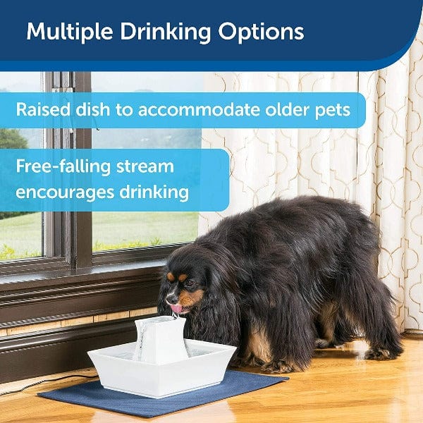 PetSafe Drinkwell Pagoda Ceramic Pet Water Fountain for Cats and Small to Medium Dogs
