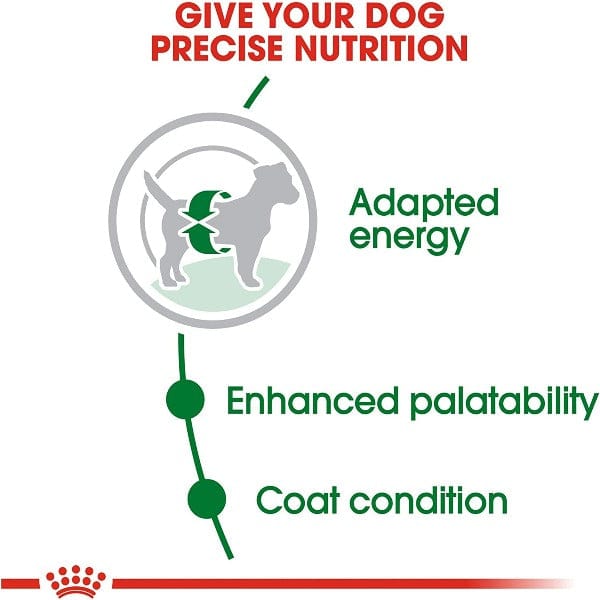 Royal Canin High - Energy Dry Dog Food for Small Adult Breeds