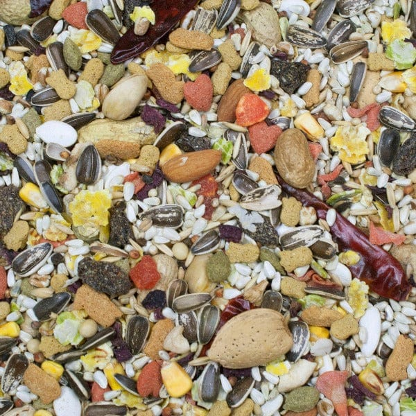 Delicious Sunburst Premium Gourmet Blend Parrot Feed for Optimal Parrot Nutrition