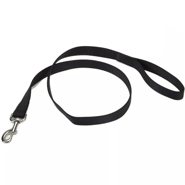 Coastal Classic Single-Ply Nylon Dog Walking Leash