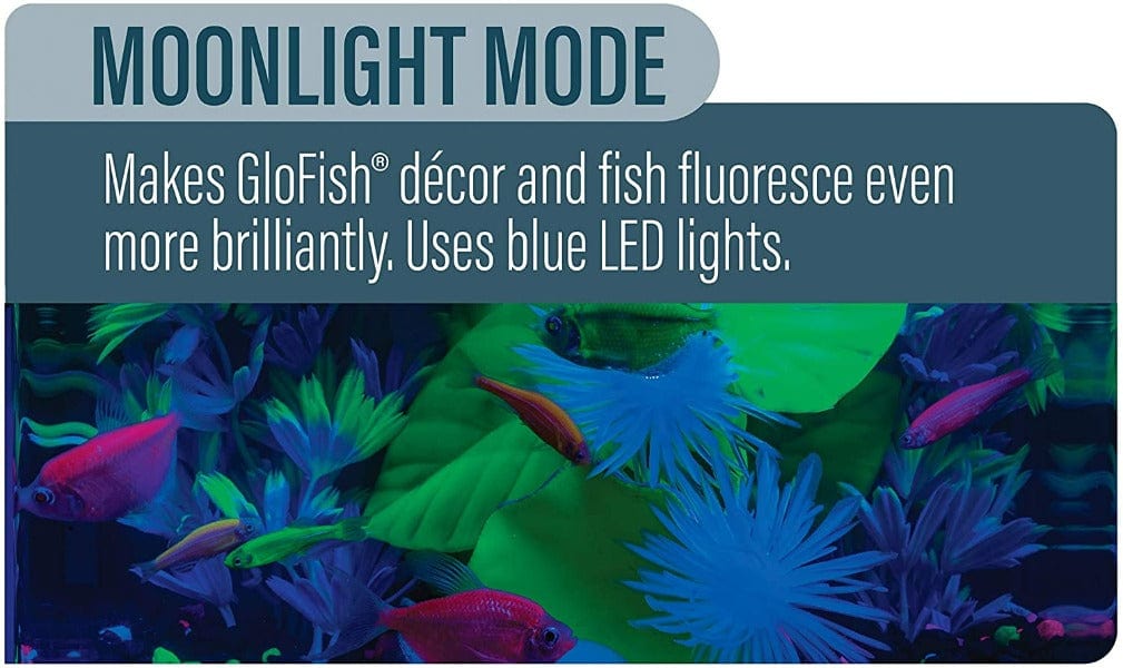 GloFish LED Cycle Light with 4 Color - Changing Modes