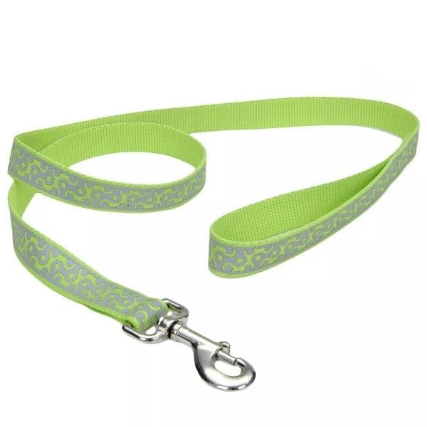 Highly Visible Lazer Brite Reflective Open-Style Dog Walking Leash