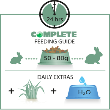 Versele-Laga Complete Adult Rabbit Food for Dwarf and Regular Adult Rabbits