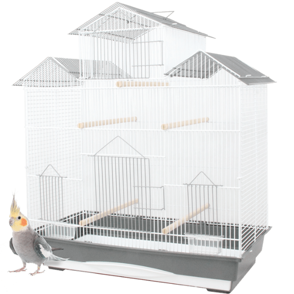 Easy - Setup and Clean Tweeters Cockatiel and Budgie Cage