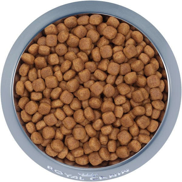 Royal Canin 30lb Dry Dog Food Specially Formulated for Golden Retriever Puppies