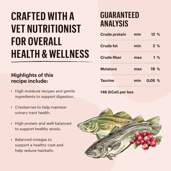 The Honest Kitchen Premium Grain - Free Wet Cat Food in Salmon & Cod Pate Style (Special Order Product)