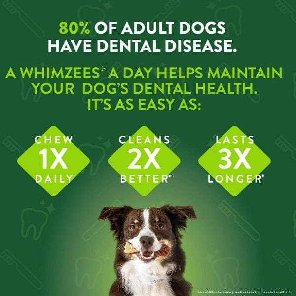Whimzees Alligator-Shaped Natural Dental Chew for Dogs