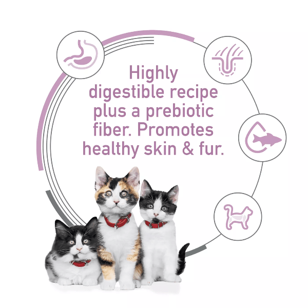 Hill's Science Diet 3.5lb Dry Kitten Food: Salmon & Brown Rice for Sensitive Stomachs & Skin