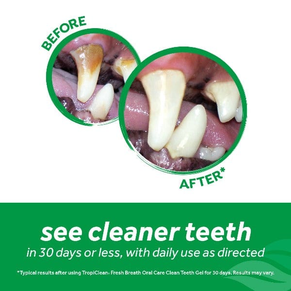 Tropiclean Oral Hygiene Care Kit for Small and Medium Sized Dogs with Fresh Breath Formula