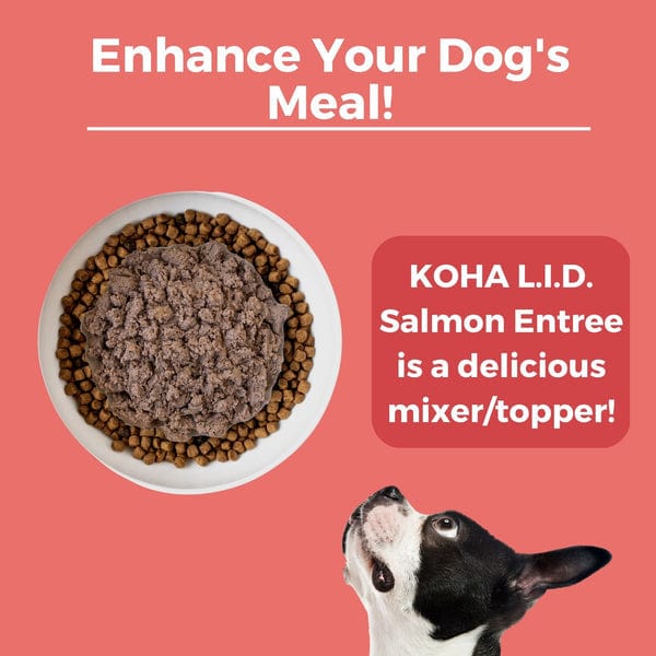 KOHA High - Protein Canned Salmon Entrée Dog Food for Sensitive Pets