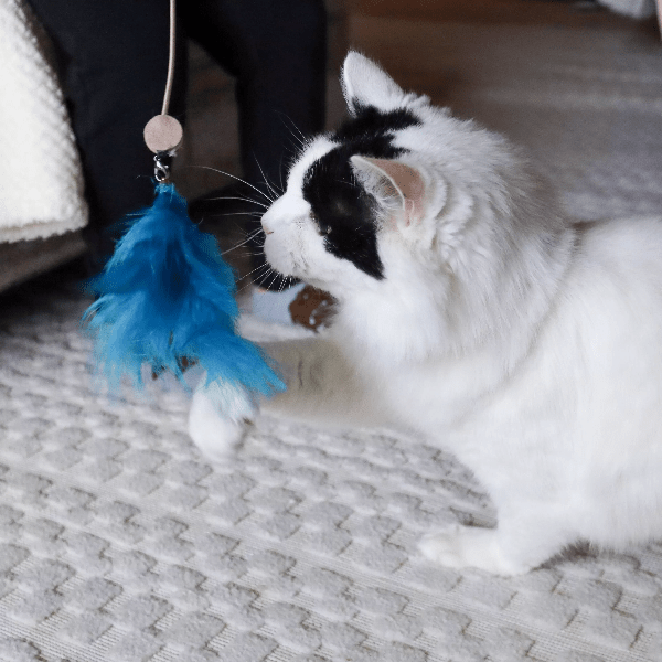 LED Pointer Turbo Telescoping Wand Cat Toy for Endless Fun