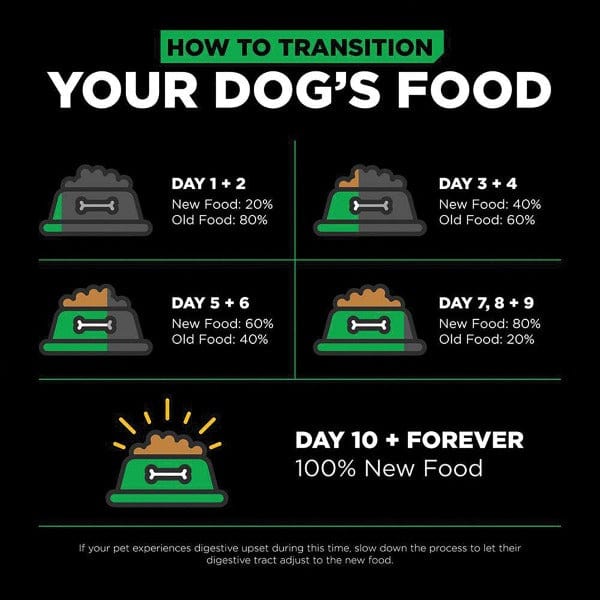 Go! Solutions High - Quality Sensitivities Limited Ingredient Grain - Free Insect - Based Recipe Dry Dog Food for Adult and Senior Dogs