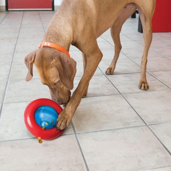 KONG Interactive Gyro Treat - Dispensing Dog Toy for Larger Dogs