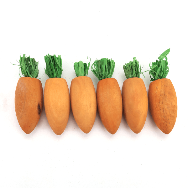 6-Pack of Moss Hollow Brand Wooden Pet Play Carrots for Chewing
