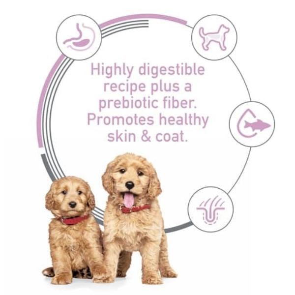 Hill's Science Diet Puppy Dry Dog Food: Salmon & Brown Rice for Sensitive Stomachs and Skin